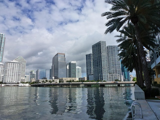 miami, nature, florida, skyline, building, architecture, water